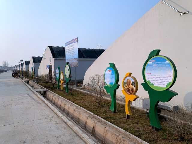 每日一景 山水溝村的美麗蝶變——產業助力發展，農業技術推廣共建美麗鄉村