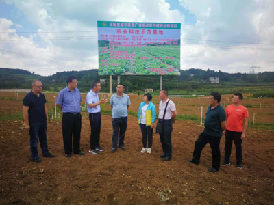 省農業科技發展中心主任潘爾珣深入畢節調研，指導基層農技推廣補助項目建設工作