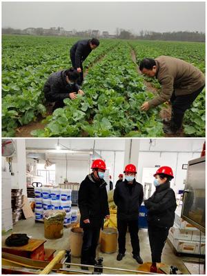 科技助農穩生產，服務下鄉促春耕——市農技推廣中心積極開展春耕備耕指導工作